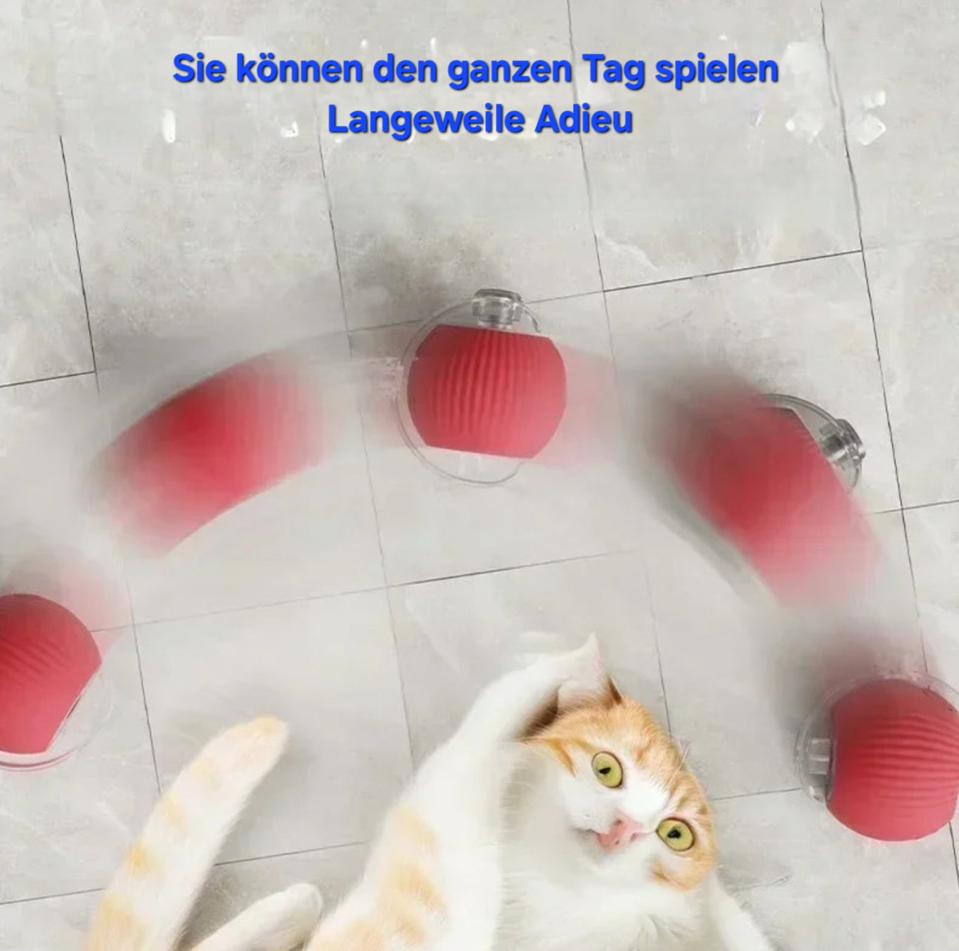 Bouncy Ball